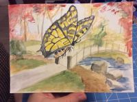 Autumn butterfly